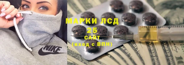 дурь Бородино