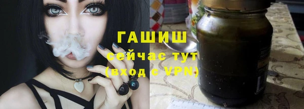 дурь Бородино