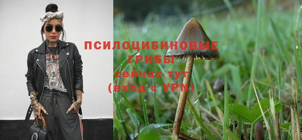гидра Бугульма