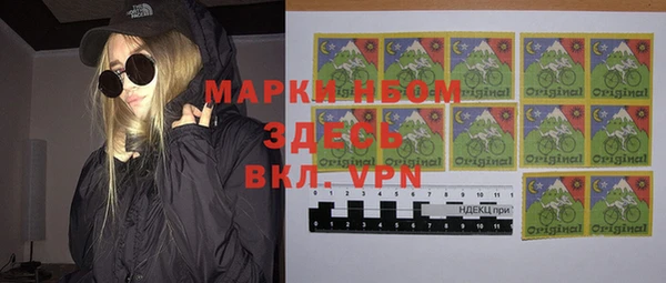 дурь Бородино