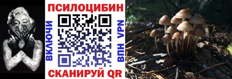 Псилоцибиновые грибы Cubensis  цены   мега зеркало  Кондрово 